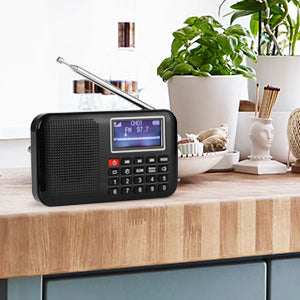 Raddy RF28 Portable Radio Review