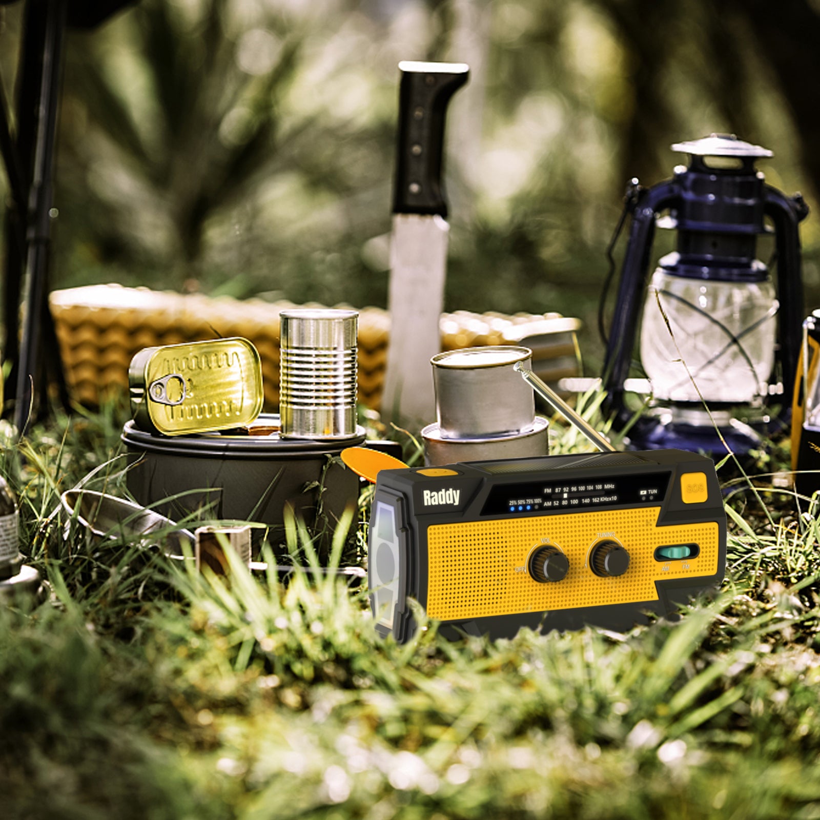 Raddy NW3 is far exceeded my expectations-Reviewed by R. Precourt