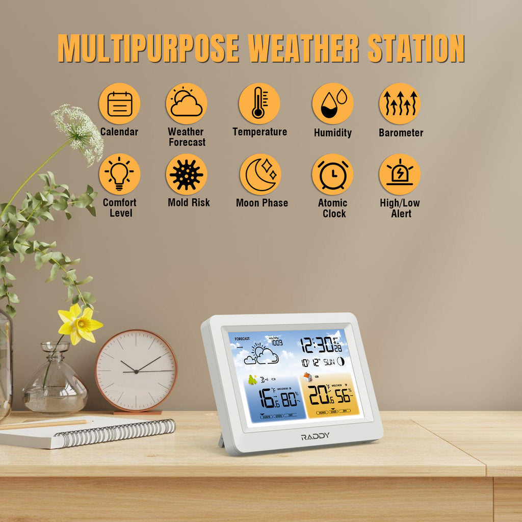 Raddy WM6 Weather Station | Wireless Thermometer Hygrometer | Built-in 2000mAh Battery | Mold Risk Alert EU