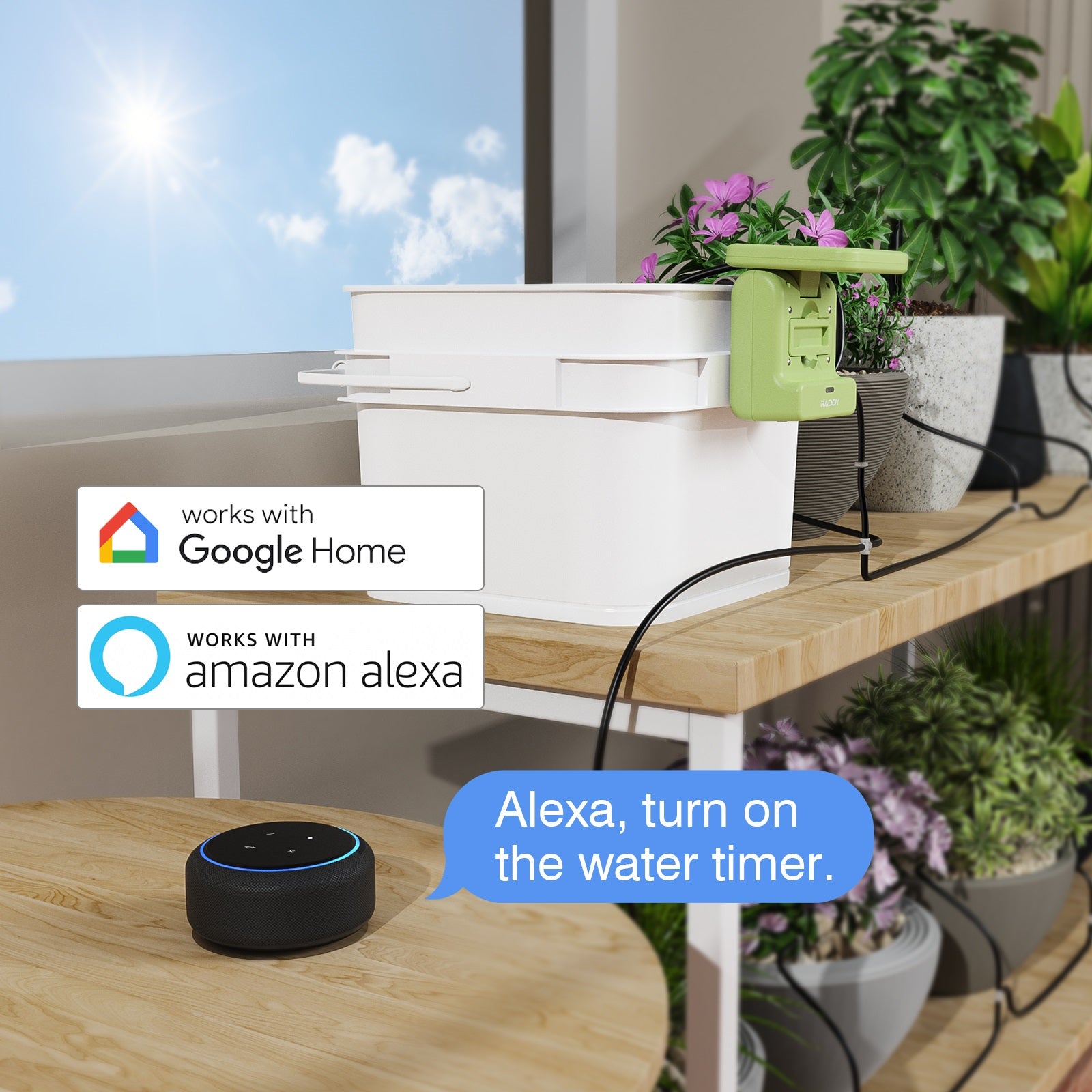 amazon automatic plant waterer Raddy WS-2 Wi-Fi Drip Irrigation System | APP-Controlled | DIY Automatic Water Pump