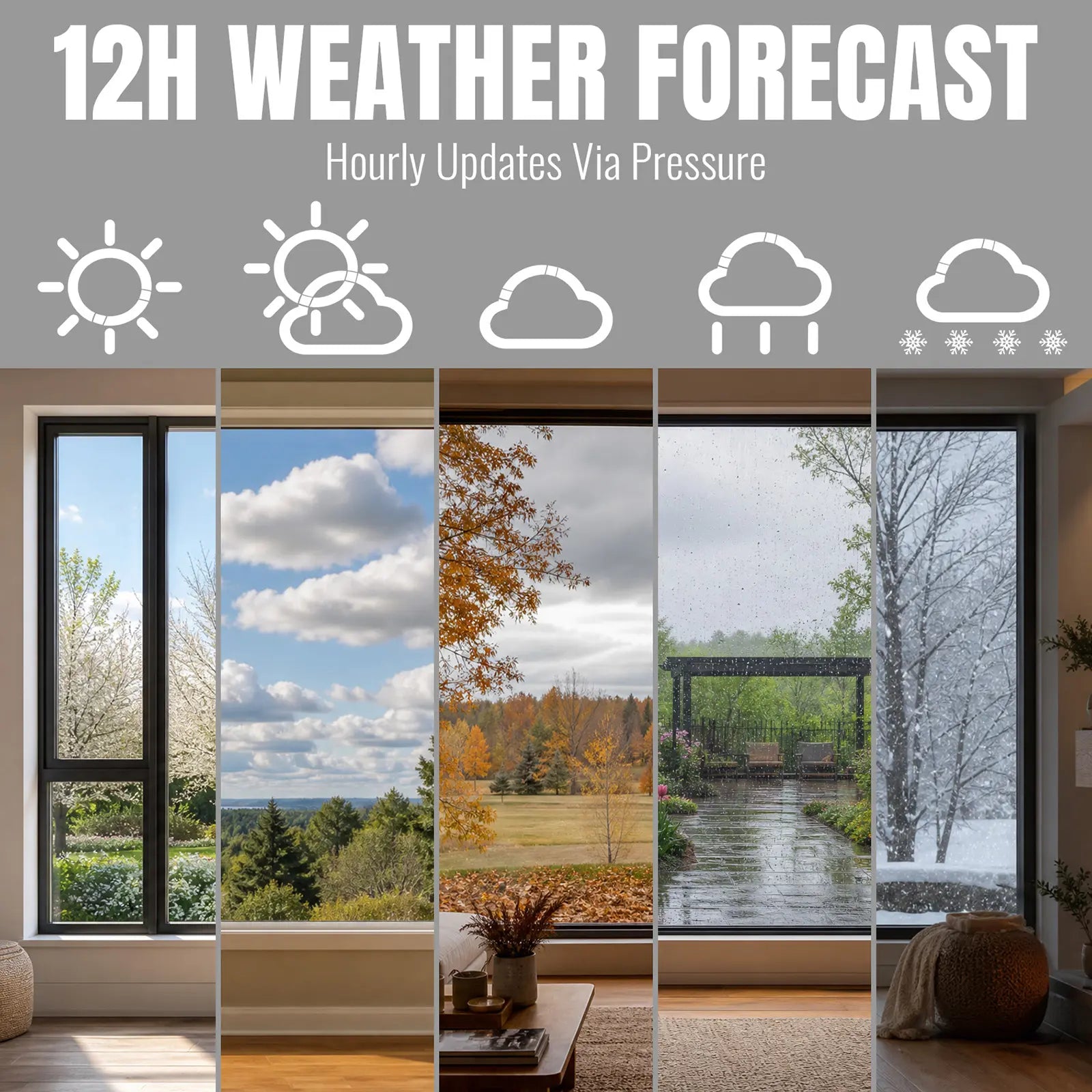 Raddy WT-2 Window Thermometer | Barometric Pressure | Weather Forecast | Magnetic | Temperature Monitor | Transparent LCD Display | Battery Powered - Radioddity